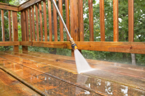Best Animal Enclosure Cleaning  in Pine Brook, NJ